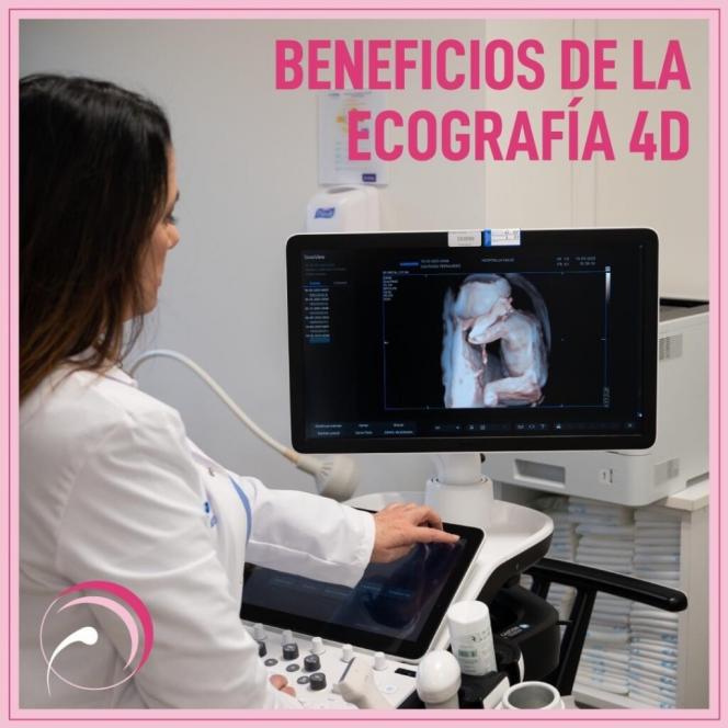eco-4D