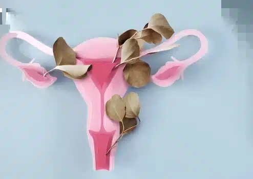 Menopausia del sistema reproductor femenino